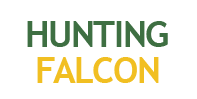 Hunting Falcon